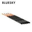 Bluesky 5pc Nail Brush Set For Cheap