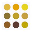 EYECONIQ 9pc eyeshadow palette 20.0g YELLOW Supply