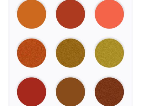 EYECONIQ 9pc eyeshadow palette 20.0g ORANGE Online Hot Sale